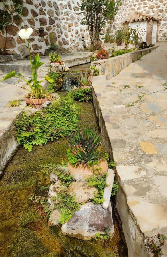 Willa Casa El Patio Del Limon, Con Piscina Montecorto Zewnętrze zdjęcie